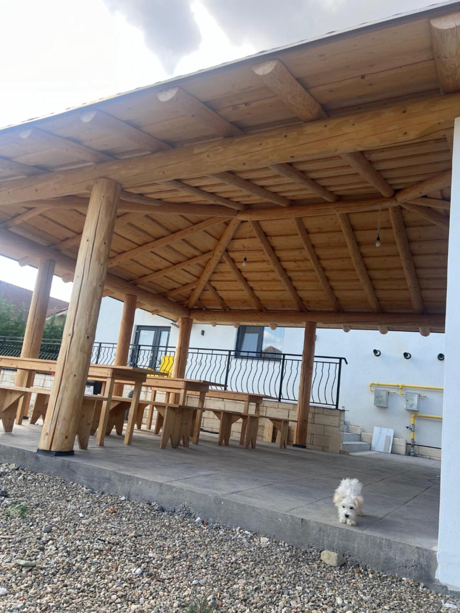 Villa Class Sînmartin Kültér fotó